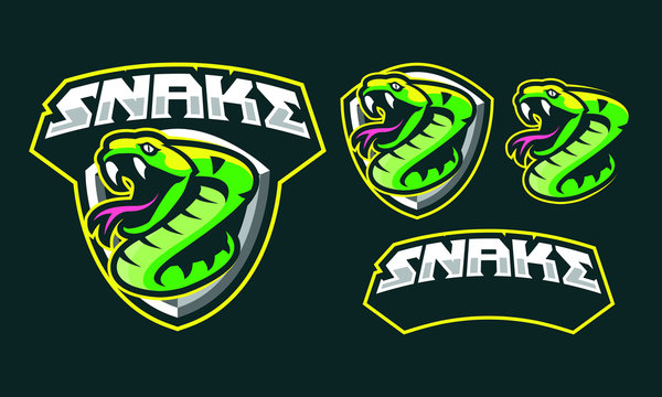 Snake mascot logo design for sport/ e-sport logo design isolated on dark background