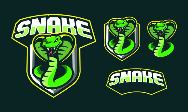 Snake mascot logo design for sport/ e-sport logo design isolated on dark background