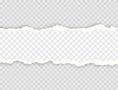 Paper strip with space for text isolated on transparent background. Vector realistic horizontal torn edges, grunge ripped texture or broken page pattern..