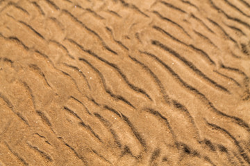 Defocused golden sand vawe dune texture background on beach