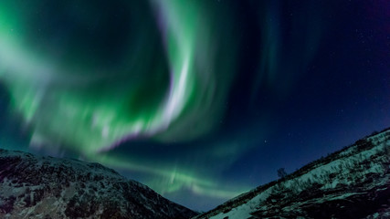 Polarlicht über Norwegen