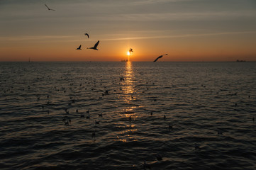 Sunset at Bangpoo, Thailand