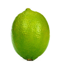 Lime citrus fruit isolated on white background