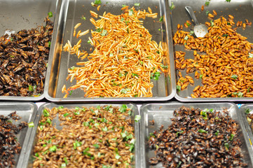 Worms and insects fried, Street food