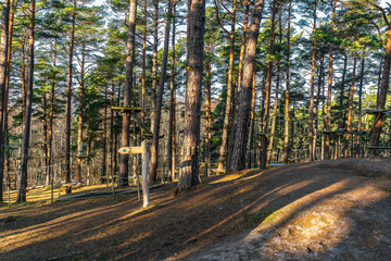 Amusement park in a pine forest. Great outdoor activities for people of all ages. Obstacle courses.