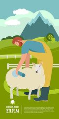 Plakat Farming today Farmer marks his sheep with blue spray for identification Organic farm Cartoon Flat Vector Illustration Banner