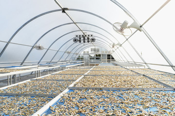 Dryer glass ​house​ for​ dried​ preservation