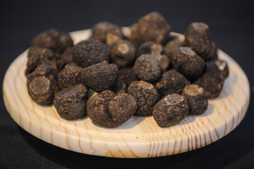 Trufa negra (Tuber melanosporum)