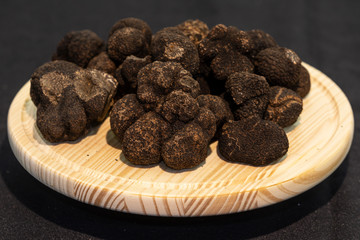 Trufa negra (Tuber melanosporum)