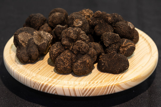 Trufa negra (Tuber melanosporum)