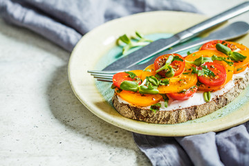 Toast with cheese and tomato on plate, copy space. Vegetarian food concept.