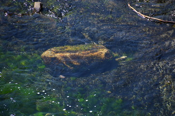 Mount Rainier National Park, Washington