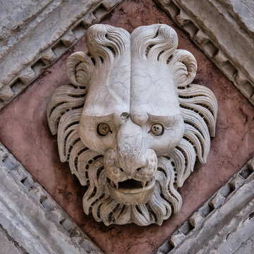 Foto scattata nelle vie del centro storico di Siena.