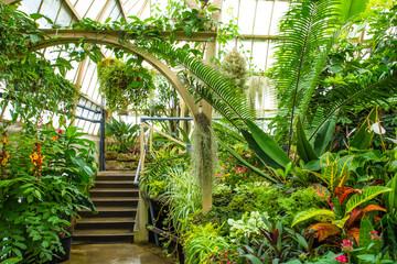 botanic gardens, fresh lush green tropical plants