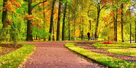 Beautiful panorama of autumn park and paths on a clear day