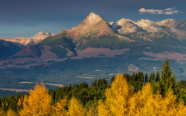 Obraz premium autumn landscape with forest and mountains