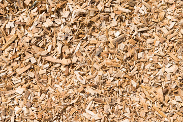 Wood Pattern.
