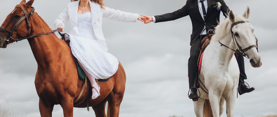 The groom in a black suit and the bride in a white dress are sitting on horses, walking and holding hands. Wedding portrait of the newlyweds with beautiful animals. Photography, concept.