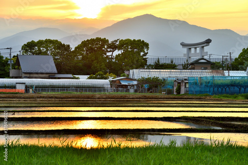 夕焼けで茜色に染まる寒川田園風景 Wall Mural Wallpaper Murals Masyok