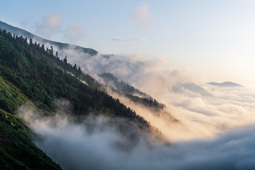 Misty dark forest landscape with cloud and fog. Hiking and tour concept.
