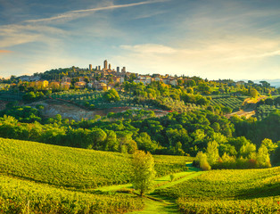 Naklejka premium San Gimignano panoramic medieval town towers skyline and vineyards. Tuscany, Italy