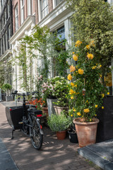 Fototapeta na wymiar Amsterdam Flowers