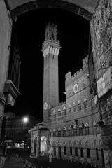 Foto scattata alla Torre del Mangia dalla famosa Piazza del Campo.