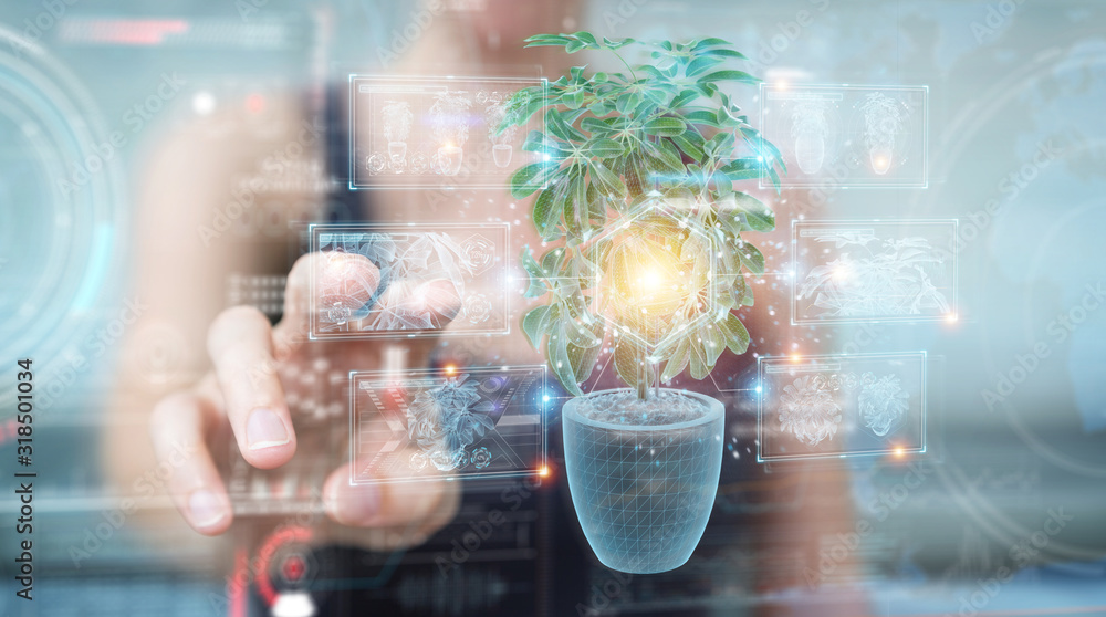 Poster woman holding and touching holographic projection of a plant with digital analysis 3d rendering