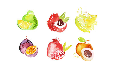 Juicy Ripe Tropical Fruit Collection, Pomelo, Lychee, Carambola, Pomegranate, Mangosteen, Peach Watercolor Hand Painting Vector Illustration