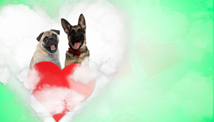 couple of pug and german shepherd in heart shape