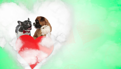 couple of french bulldog and boxer in heart shape