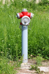New red and grey metal fire hydrant with four caps connected with short chains surrounded with tall uncut grass next to gravel path