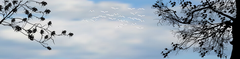 black blossoming branches and white flying swans