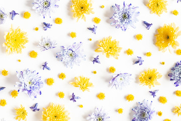 Flowers composition. Pattern made of chrysanthemum flowers on white background. Flat lay, top view