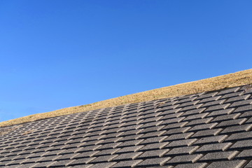 江戸川護岸と青空