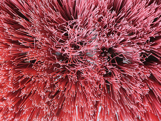 close-up of a broom with red plastic bristles