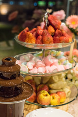 Chocolate fondue with strawberry and  marshmallow ,Sweets and dessert decoration