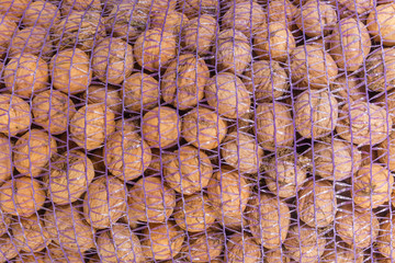 Background of ripe walnuts in the plastic mesh bag