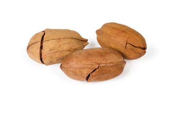Top view of ripe pecan nuts on a white background