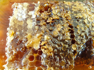 Yellow Honeycomb slice. Honey cell slice. Bowl with fresh honeycombs and honey