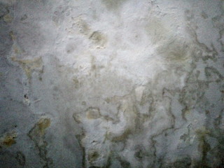 White walls that are damp, moldy and peeling