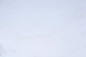 Fotobehang Marmeren achtergrond in natuurlijke witte kleur als onderdeel van uw stijl. © Dmytro Synelnychenko
