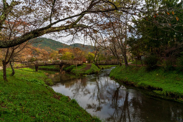 忍野八海　山梨　日本