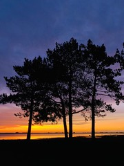 Fototapeta na wymiar Scenic Sunrise on the Baltic Sea Near Copenhagen