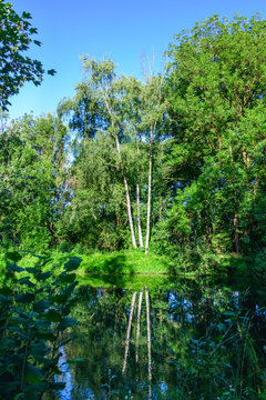 Idyllische Natur am Stadtbach in der Wolfzahnau im Stadtgebiet Augsburg
