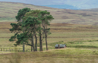 Einsames Haus in Schottlands Norden