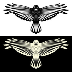 Obraz premium Black_Crow_Rawen_0002