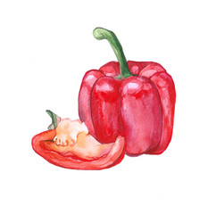 Watercolor Bell pepper paprika on white background 