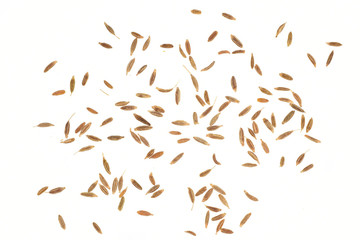 top view of cumin seeds scattered on White background