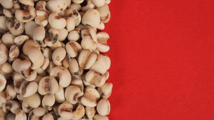 Job's Tears, also known as adlay and coix on red background. Popular in Asian cultures as a food source.